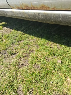 Fiat Panda 4x4 Bild 7