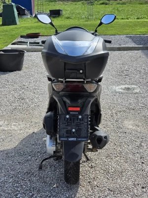 Honda SHi 125 Bild 2