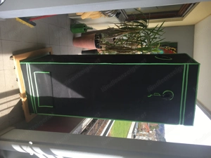 Homebox Gewächshaus Growbox Growzelt Bild 5