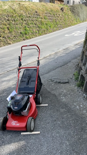 Benzinrasenmäher, Ort Feldkirch  Bild 4
