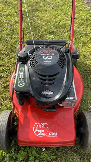 Benzinrasenmäher, Ort Feldkirch  Bild 2