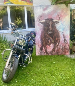 Harley-Davidson Dyna LOW Rider Bild 5