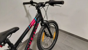 Müsing 20 Zoll Bild 4