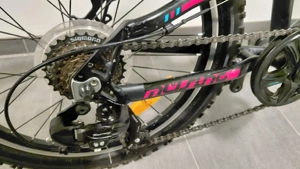 Müsing 20 Zoll Bild 2