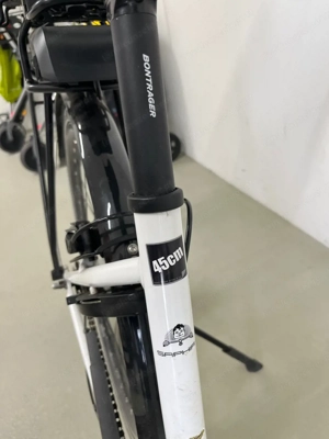 Damen e-bike Diamant Saphir Bild 4