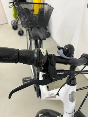 Damen e-bike Diamant Saphir Bild 3