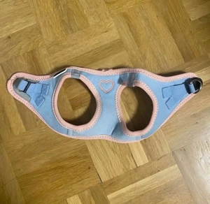 Set Geschirr für kleine Hunde Gr. XS  S Bild 3