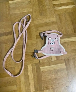 Set Geschirr für kleine Hunde Gr. XS  S Bild 2