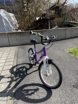 Woom 3 Automatic Bild 2