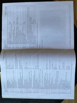 Harley Davidson Shavel Head Bild 5