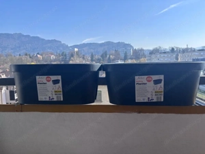 Blumenkasten 2 Stk.  Bild 2