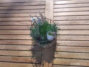 Gattentisch 120 x 80 cm Bild 2