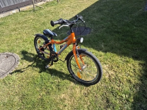 Fahrrad 20 Zoll Bild 2