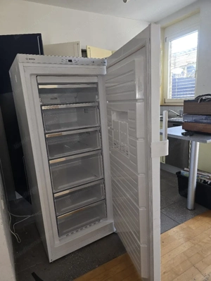 Tiefkühlschrank Bosch Bild 2