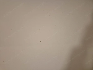 Schreibtisch weiß Eckschreibtisch Bild 4