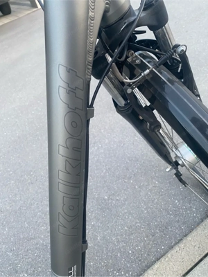 Damen Fahrrad Bild 4