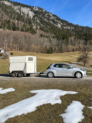 Wörrmann Piccolo Kleinpferdeanhänger Bild 4