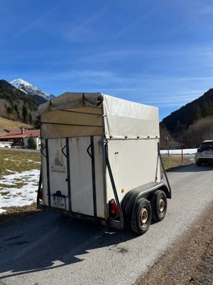 Wörrmann Piccolo Kleinpferdeanhänger Bild 3