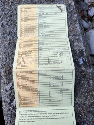 Wörrmann Piccolo Kleinpferdeanhänger Bild 2