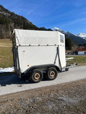 Wörrmann Piccolo Kleinpferdeanhänger Bild 5