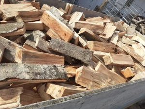 Brennholz Hartholz halbtrocken  Bild 3