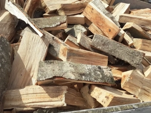 Brennholz Hartholz halbtrocken 