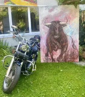 Harley-Davidson Dyna LOW Rider Bild 5