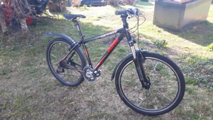 KTM Mountainbike Bild 2
