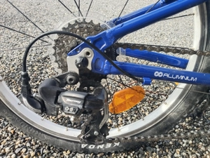 Cygnus 20 Zoll Superlight  Bild 3