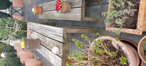 Gartentisch und Bank Bild 2