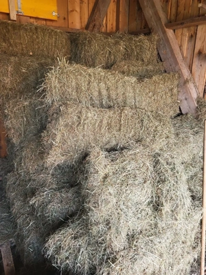 Quader heuballen (Kleintier, Rinder, Pferden, Schweine)