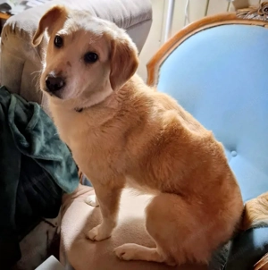 Amalfi - NOTFALL Österreich Bild 4