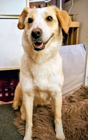 Amalfi - NOTFALL Österreich Bild 6