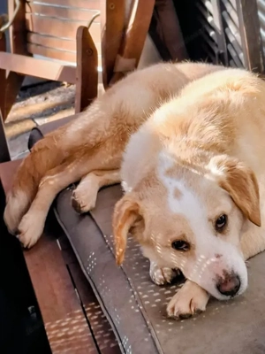 Amalfi - NOTFALL Österreich Bild 5