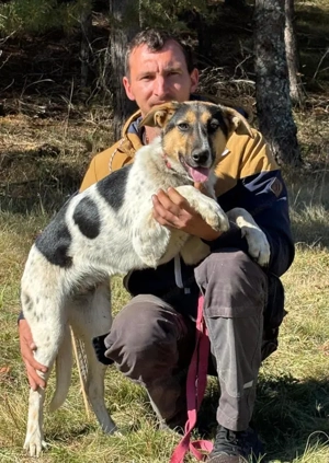 Sasy wartet auf IHRE Familie Bild 3