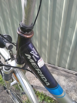 Fahrrad mit Tiefeinstieg Bild 2