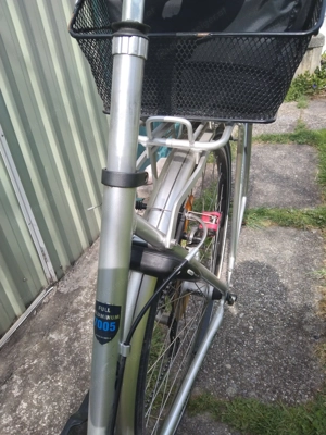 Fahrrad mit Tiefeinstieg Bild 4
