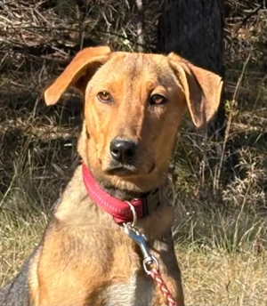 Solo sucht aktive Menschen Bild 5