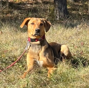 Solo sucht aktive Menschen Bild 4