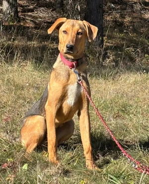 Solo sucht aktive Menschen Bild 3