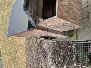 Verschenke Hühnerstall Bild 7