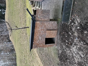 Verschenke Hühnerstall Bild 6