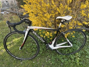 Rennrad Specialized Tarmac Carbon Bild 2