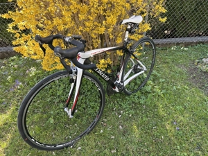 Rennrad Specialized Tarmac Carbon Bild 3