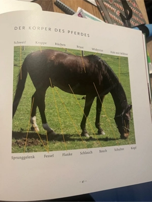 Nutztiere auf dem Bauernhof für Kinder ab dem 3. Lebensjahr und für Erwachsene Bild 4