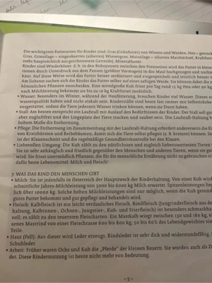 Nutztiere auf dem Bauernhof für Kinder ab dem 3. Lebensjahr und für Erwachsene Bild 6