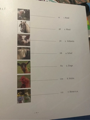 Nutztiere auf dem Bauernhof für Kinder ab dem 3. Lebensjahr und für Erwachsene Bild 8