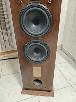 Triangle Lyrr Standlautsprecher Bild 5