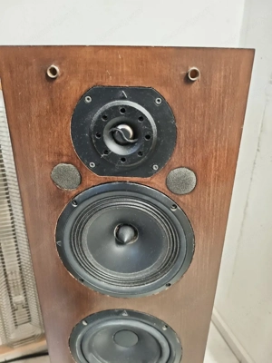 Triangle Lyrr Standlautsprecher Bild 3