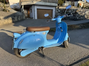 E.F.O EV2000 Moped   Mofa Bild 2